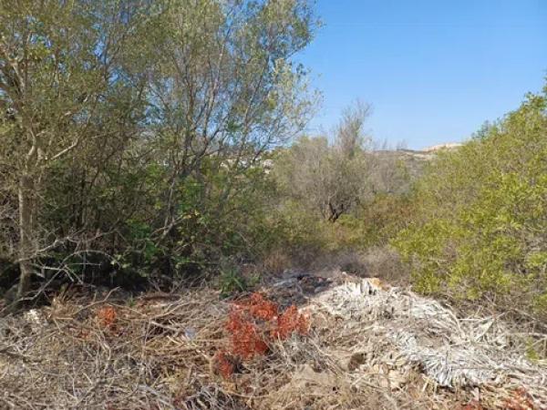 Terreno en calle Costera Negra