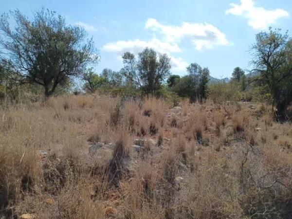 Terreno en calle Costera Negra