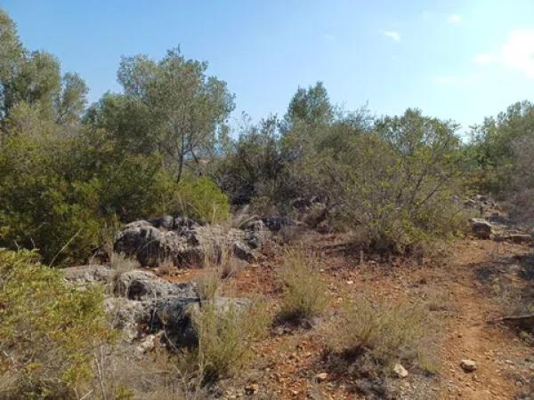 Terreno en calle Costera Negra