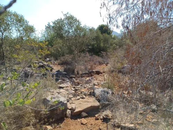 Terreno en calle Costera Negra