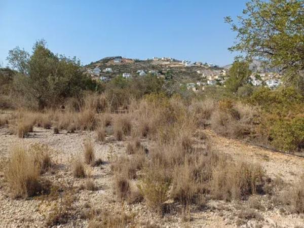 Terreno en calle Costera Negra