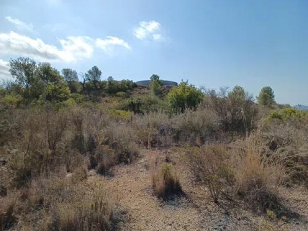 Terreno en calle Costera Negra