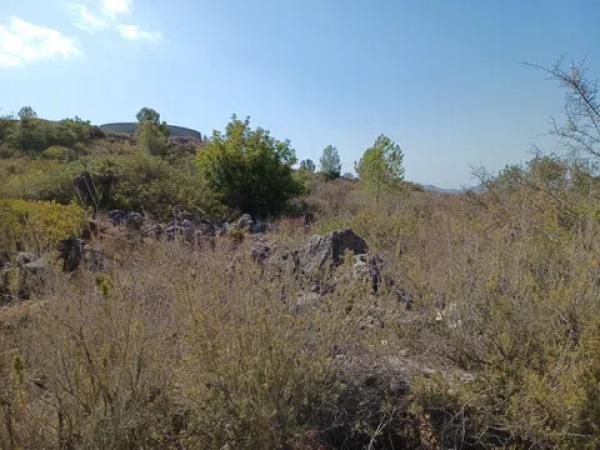 Terreno en calle Costera Negra