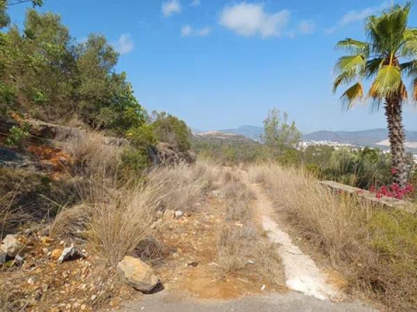 Terreno en calle Costera Negra