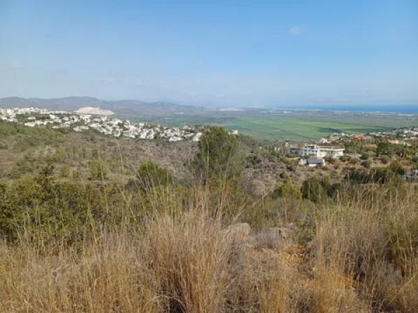 Terreno en calle Costera Negra