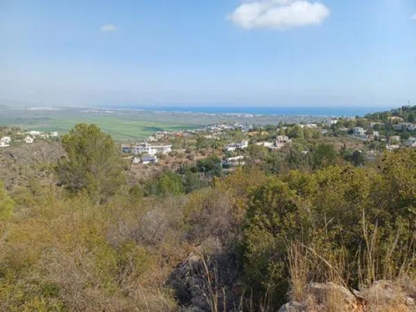 Terreno en calle Costera Negra