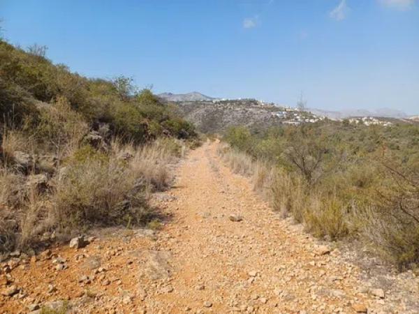 Terreno en calle Costera Negra