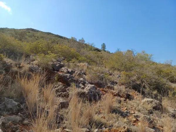 Terreno en calle Costera Negra