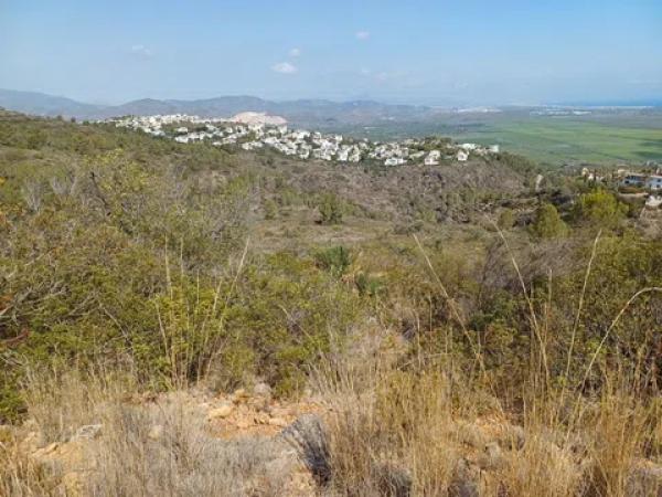 Terreno en calle Costera Negra