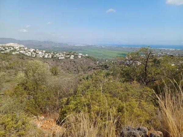 Terreno en calle Costera Negra