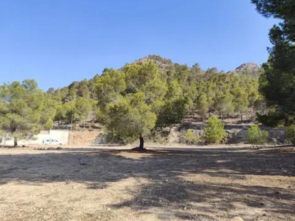 Terreno en calle Málaga m Pinar