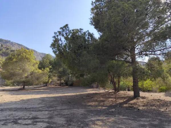 Terreno en calle Málaga m Pinar