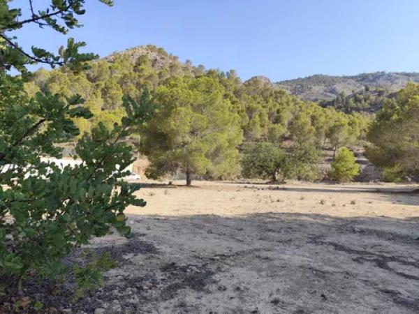 Terreno en calle Málaga m Pinar