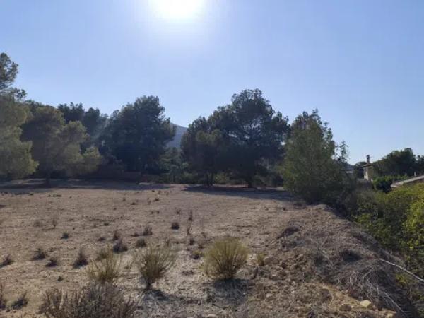 Terreno en calle Málaga m Pinar