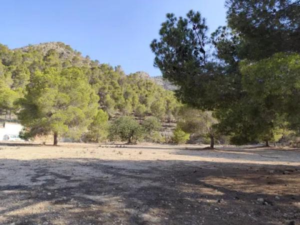 Terreno en calle Málaga m Pinar