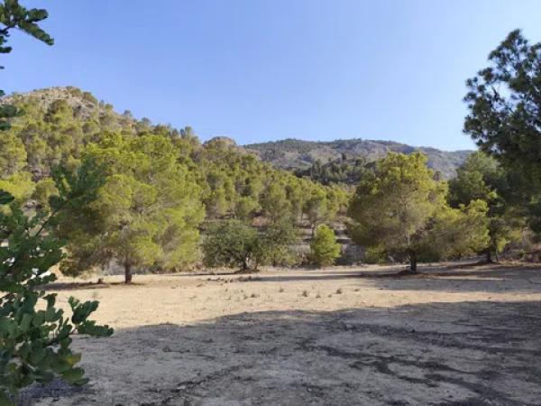 Terreno en calle Málaga m Pinar