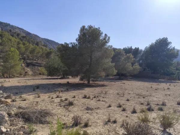 Terreno en calle Málaga m Pinar