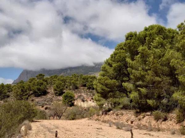 Terreno en Partida Tapiada Marraix, 34