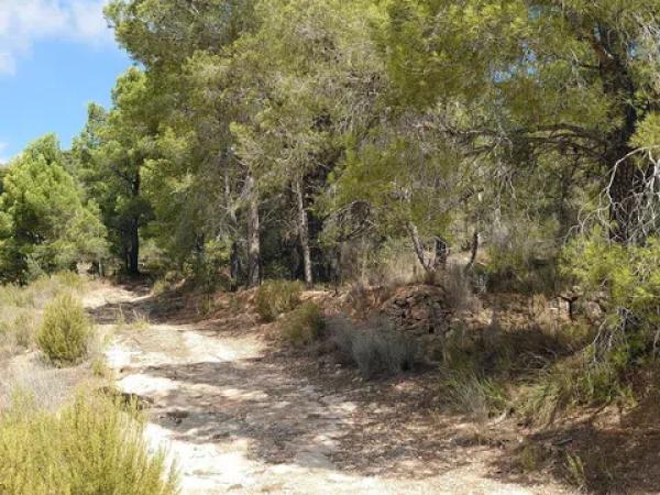 Terreno en Partida Tapiada Marraix, 34