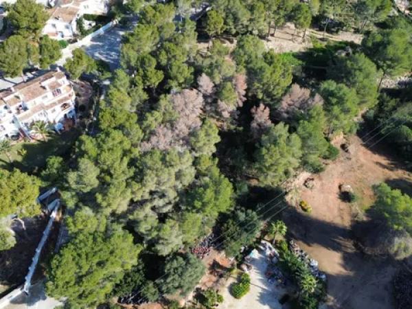 Terreno en calle Haya