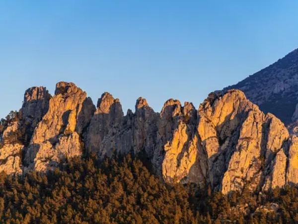 Terreno en Partida Alt del Charquer, 19