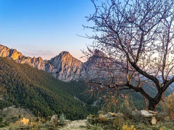 Terreno en Partida Alt del Charquer, 19