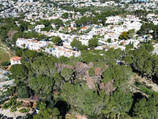 Terreno en calle Haya