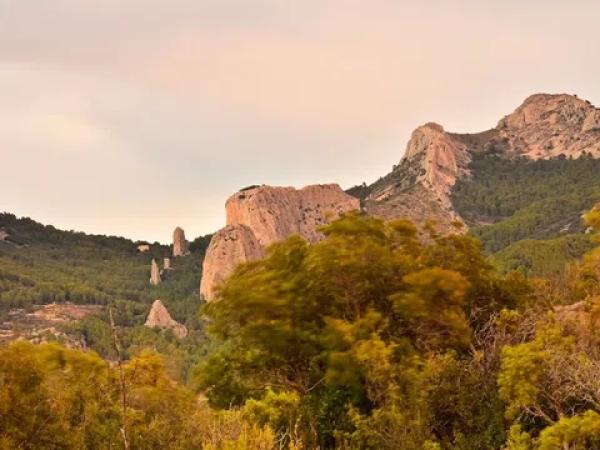 Terreno en Partida Alt del Charquer, 19