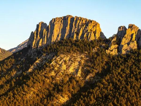 Terreno en Partida Alt del Charquer, 19