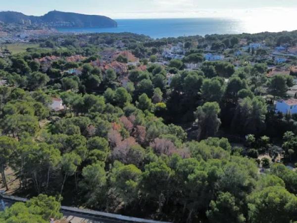 Terreno en calle Haya