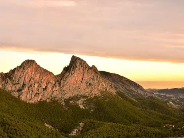 Terreno en Partida Alt del Charquer, 19