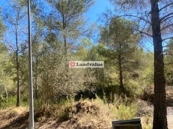 Terreno en calle Roure s/n