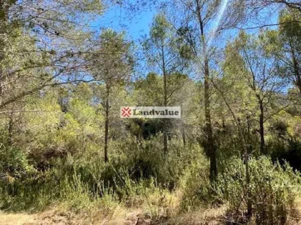 Terreno en calle Roure s/n