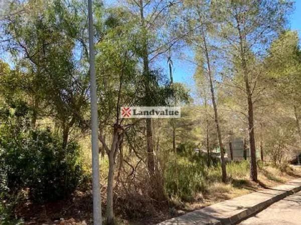 Terreno en calle Roure s/n