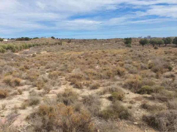 Terreno en camino de la Ermita del Salar s/n