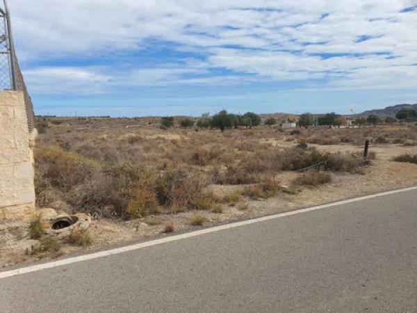 Terreno en camino de la Ermita del Salar s/n