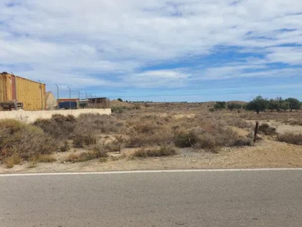 Terreno en camino de la Ermita del Salar s/n