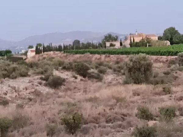 Terreno en Paraje Horna baja pol,30 par,29 s/n