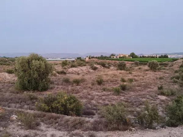 Terreno en Paraje Horna baja pol,30 par,29 s/n