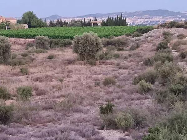 Terreno en Paraje Horna baja pol,30 par,29 s/n