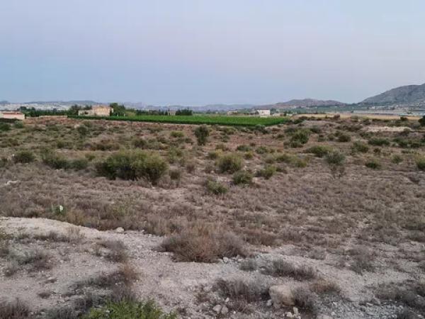 Terreno en Paraje Horna baja pol,30 par,29 s/n