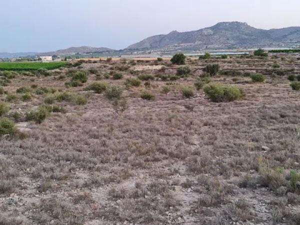 Terreno en Paraje Horna baja pol,30 par,29 s/n