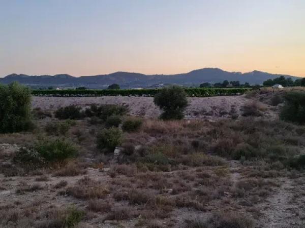 Terreno en Paraje Horna baja pol,30 par,29 s/n