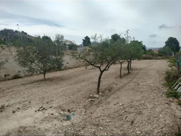 Terreno en parcela n71 cv 775, 71