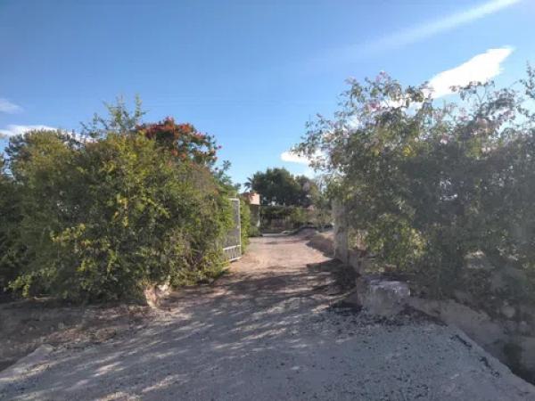 Terreno en La Marina