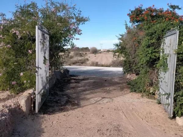 Terreno en La Marina