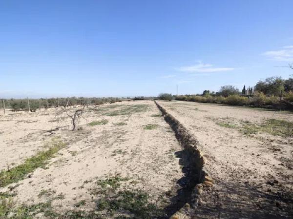 Terreno en La Marina