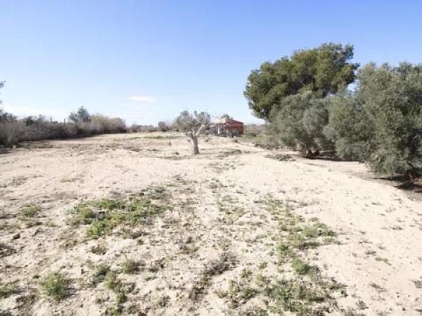 Terreno en La Marina