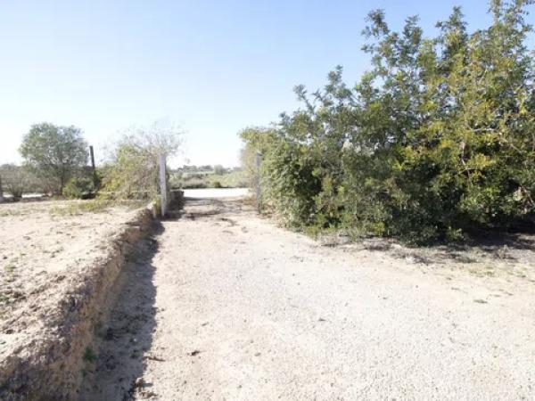 Terreno en La Marina