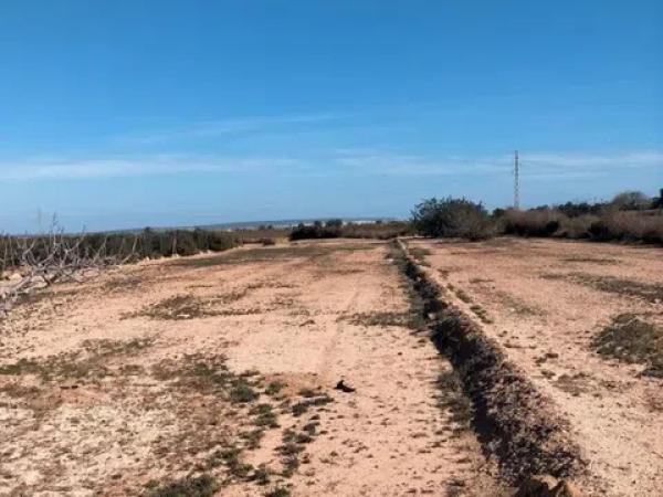 Terreno en La Marina
